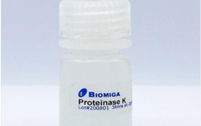 Proteinase K 100 mL 25 mg/mL