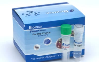 One Step qRT-PCR 2x Mix 12.5 mL