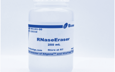 RNaseErase Solution