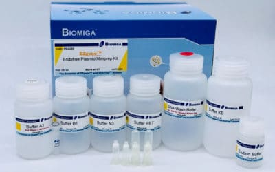 EndoFree Plasmid ezFlow Mini Kit