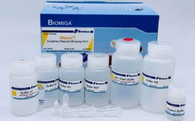 EndoFree plasmid ezFlow Mini Kit II