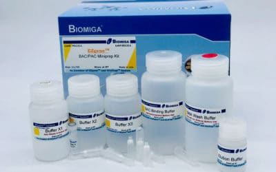 BAC/PAC Isolation Kit