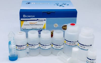 EndoFree Plasmid ezFlow Maxi Kit