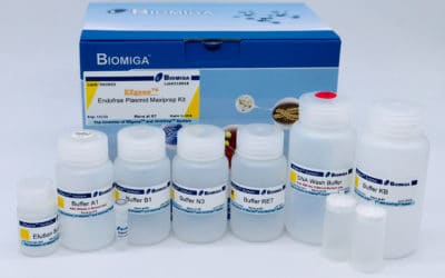 EndoFree plasmid ezFlow ezFilter maxi kit