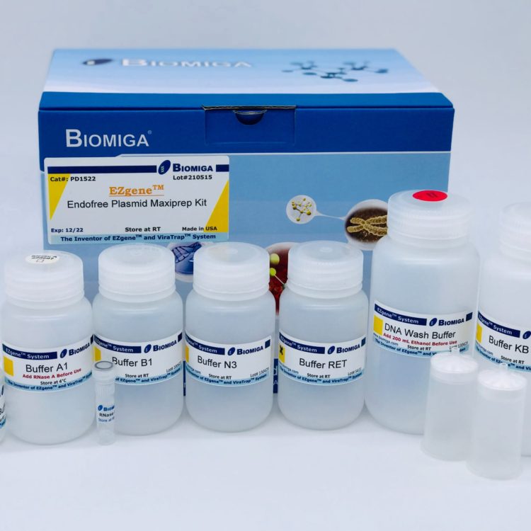 EndoFree plasmid ezFlow ezFilter maxi kit
