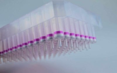 96-well Plasmid ezFilter Mini Kit