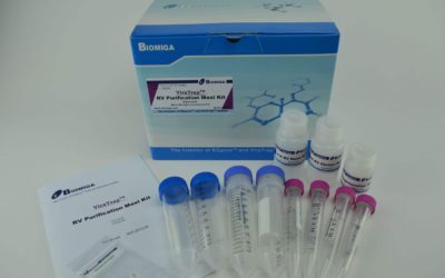 Retrovirus Purification Maxi Kit
