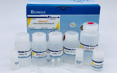 Yeast Plasmid Kit