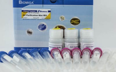 Adenovirus Purification Mini Kit