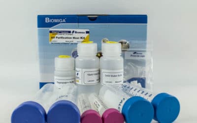 Adenovirus Purification Maxi Kit
