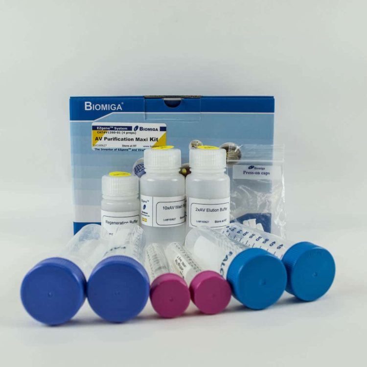 Adenovirus Purification Maxi Kit