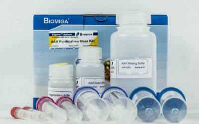 Adeno-Associated Virus Purification Maxi Kit