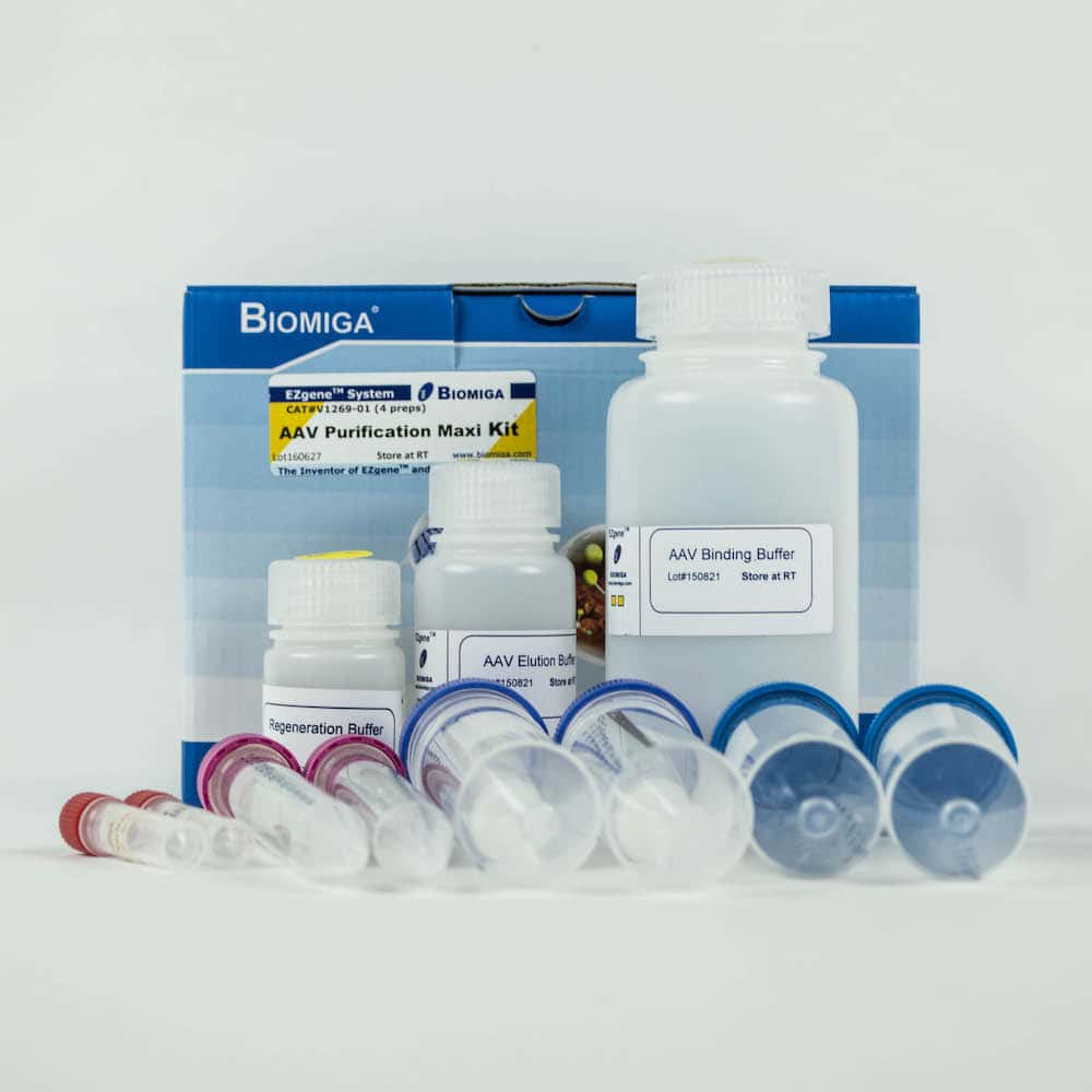Adeno-Associated Virus Purification Maxi Kit