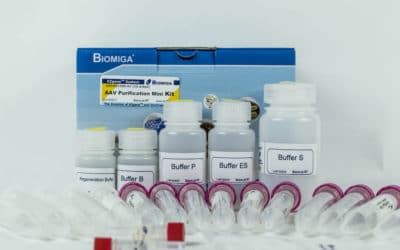 Adeno-Associated Virus Purification Mini Kit, All Serotypes