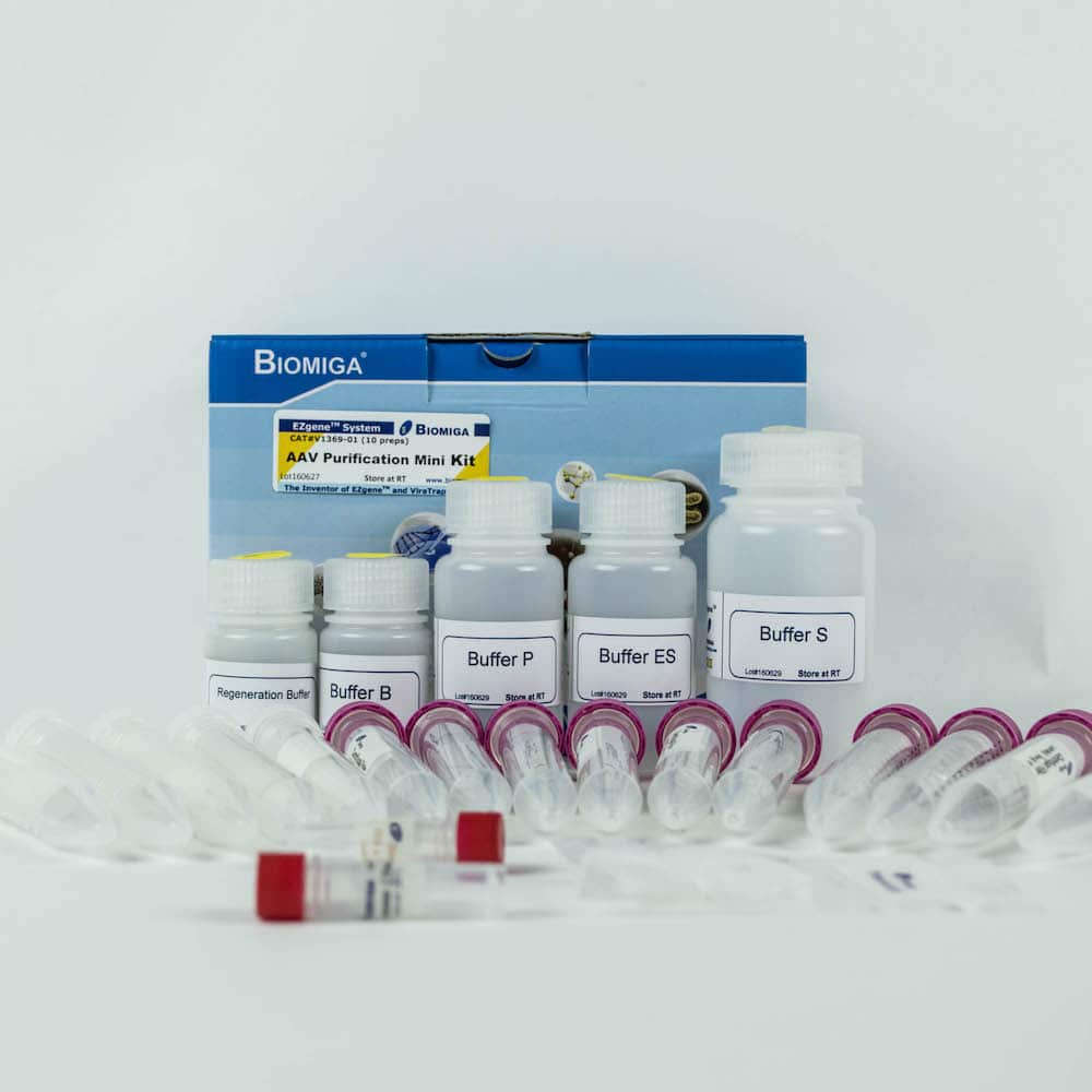 Adeno-Associated Virus Purification Mini Kit, All Serotypes