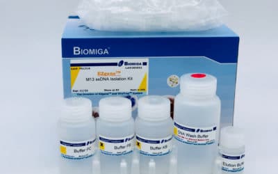 M13 Isolation Kit