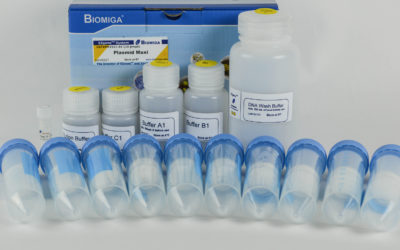 Plasmid Maxi Kit