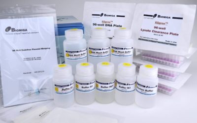 Endofree ezFilter 96-well plasmid Miniprep Kit