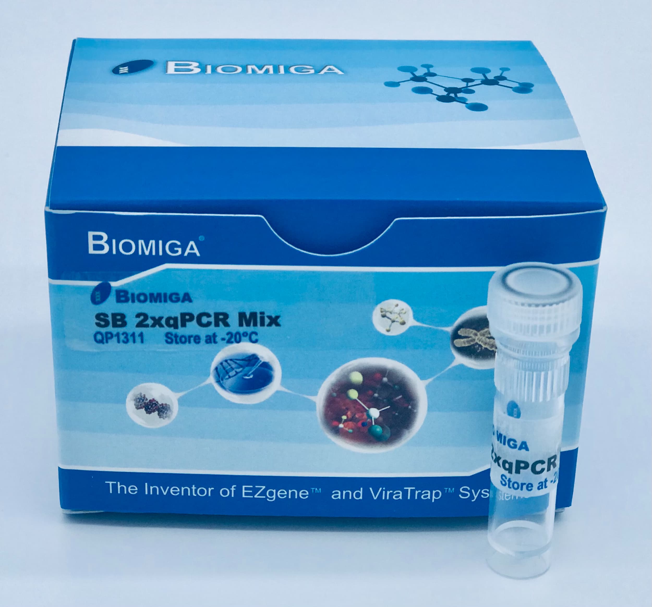2x qPCR Mix SBGR