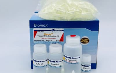 Cell Tissue RNA Mini Kit