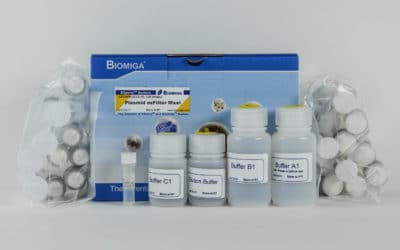Plasmid ezFilter Maxi Kit