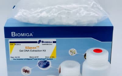 Gel Extraction Kit