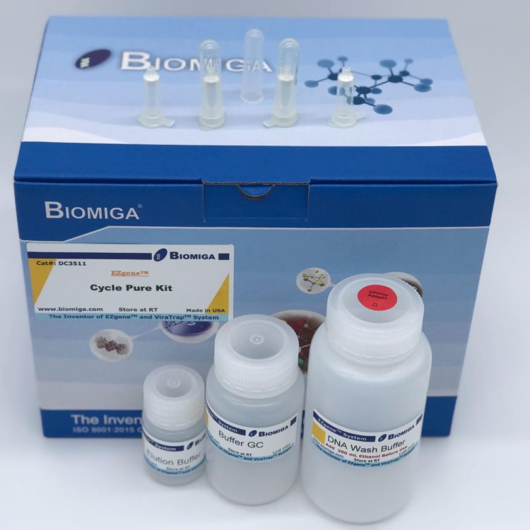 Gel Extraction Kit