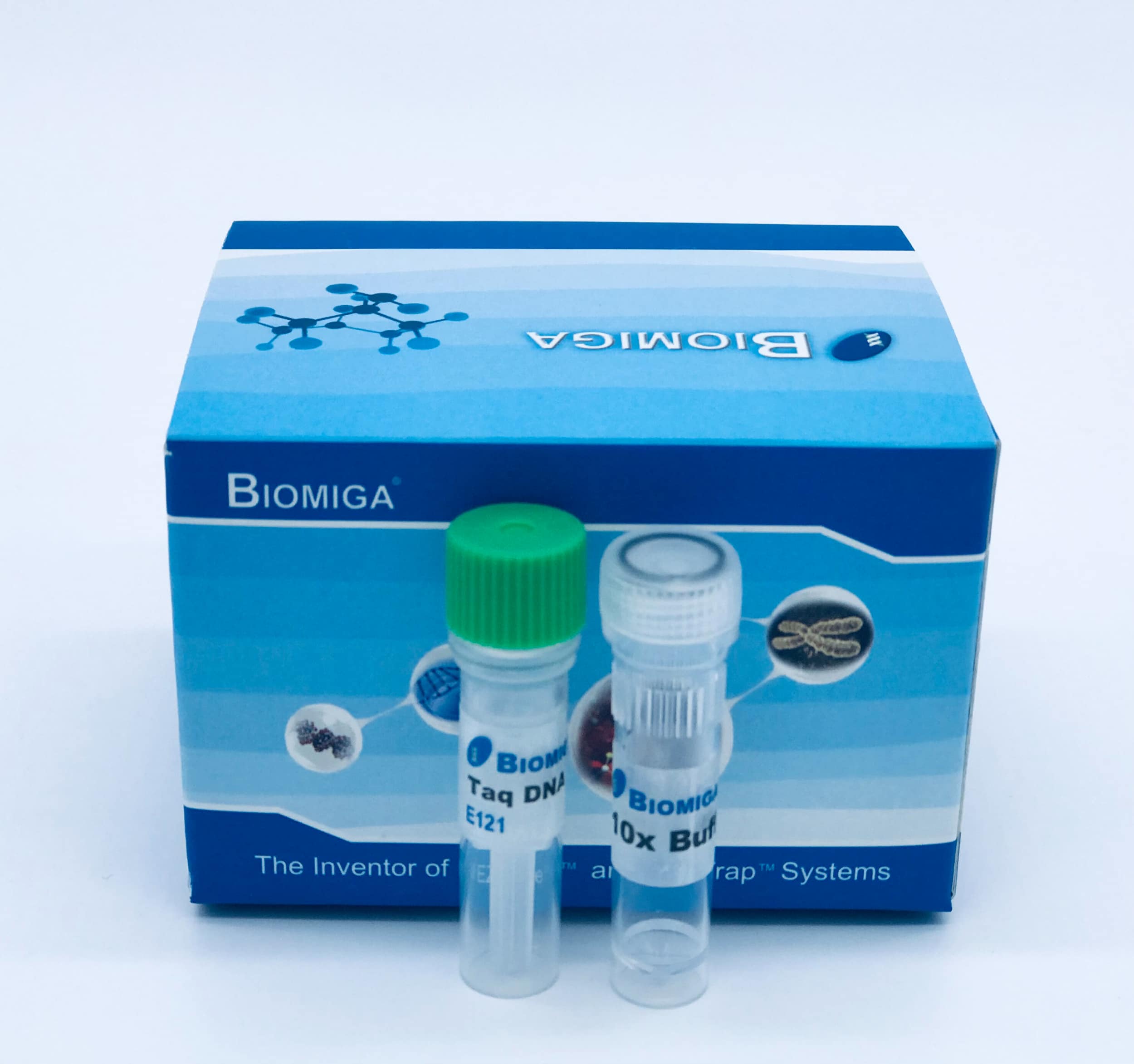 Taq DNA Polymerase