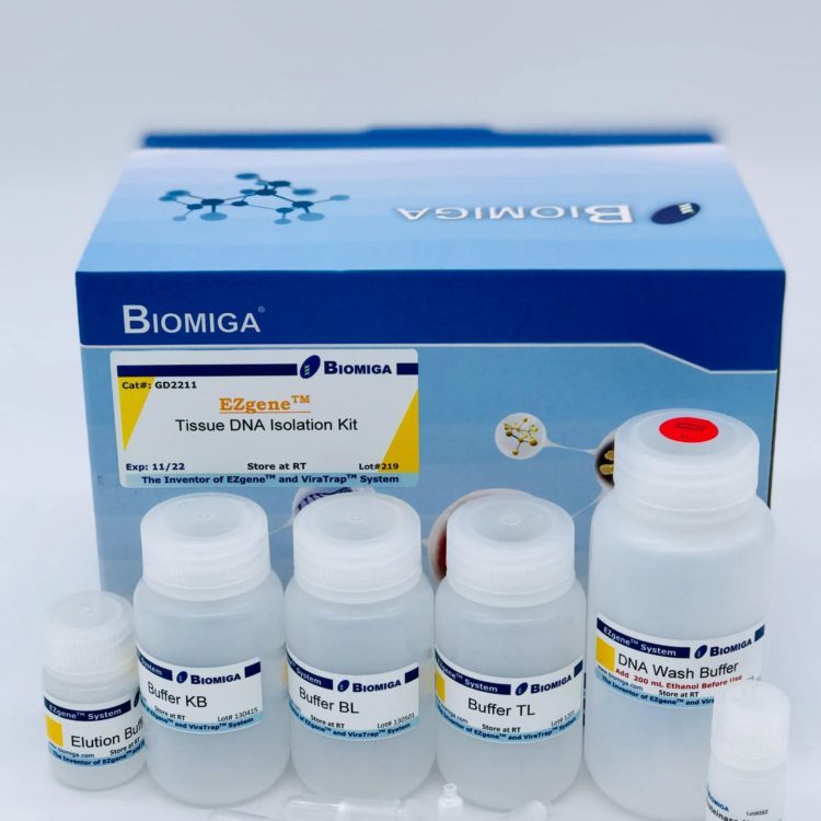 Tissue DNA Kit