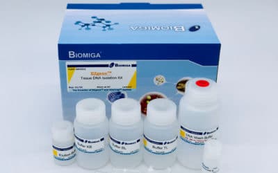 Tissue DNA Kit