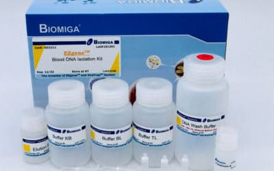 Blood DNA Mini Kit