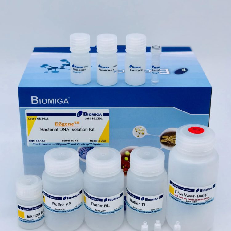 Bacterial DNA Kit