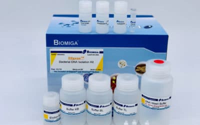 Bacterial DNA Kit