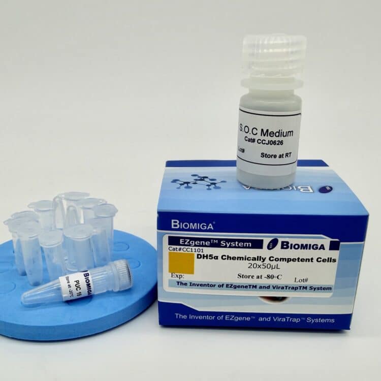 DH5a Chemically Competent Cells