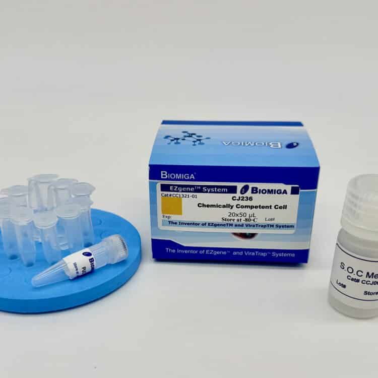 CJ236 Chemically Competent Cells