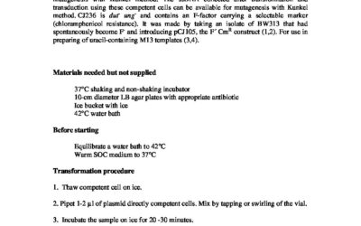 IFU CC1321 CJ236 (1)